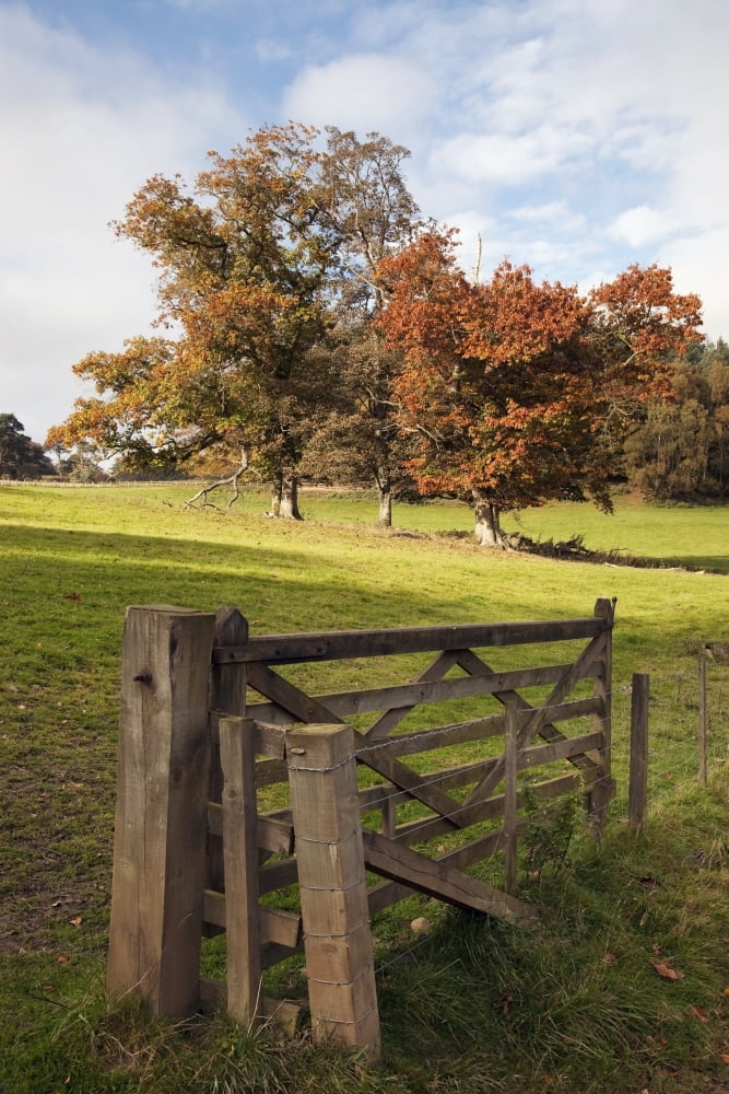 Fence Northumberland England Canvas Art - John Short Design Pics (12 x 19)