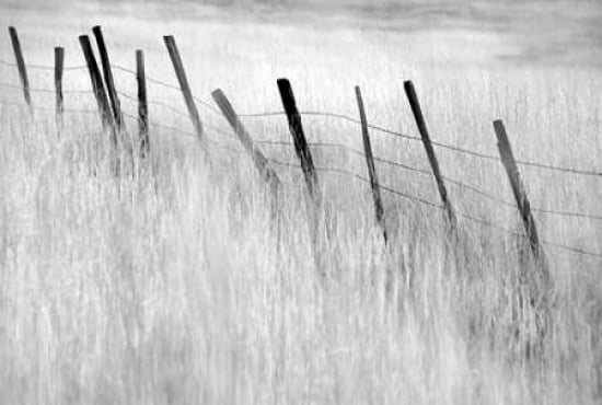 Fence Post Canvas Art - Dennis Frates (20 x 28)