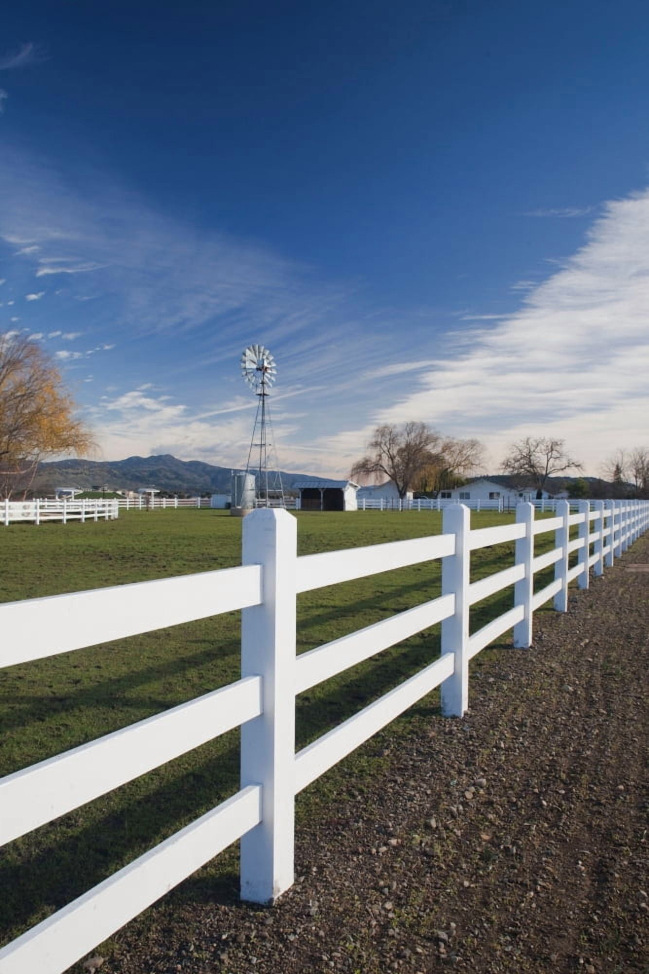 Fence at a winery Rutherford Wine Country Napa Valley California USA Canvas Art - Panoramic Images (27 x 9)