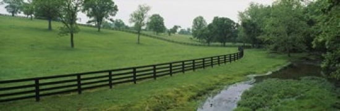 Fence in a field Woodford County Kentucky USA Canvas Art - Panoramic Images (18 x 6)