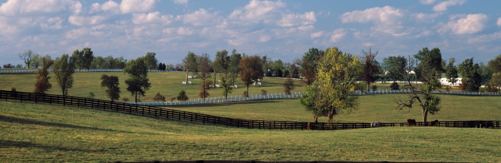 Fence in a pasture Lexington Fayette County Kentucky USA Canvas Art - Panoramic Images (36 x 12)
