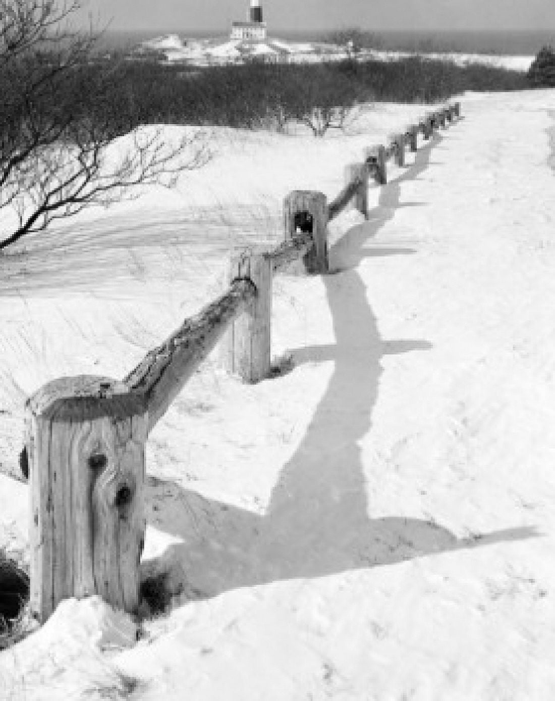 Fence on beach Canvas Art - (18 x 24)
