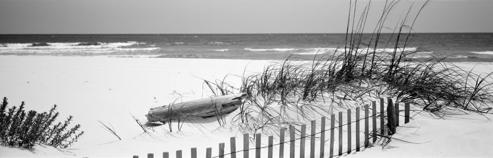 Fence on the beach Alabama Gulf of Mexico USA Canvas Art - Panoramic Images (12 x 36)