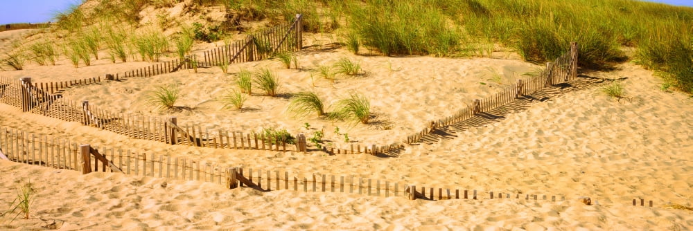 Fence on the beach Cape Cod Massachusetts USA Canvas Art - Panoramic Images (6 x 18)