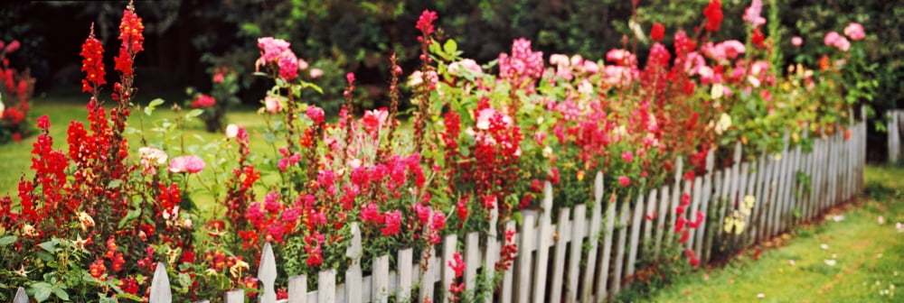 Fence with flowers in a garden Coupeville Whidbey Island Island County Washington State USA Canvas Art - Panoramic Images (36 x 12)