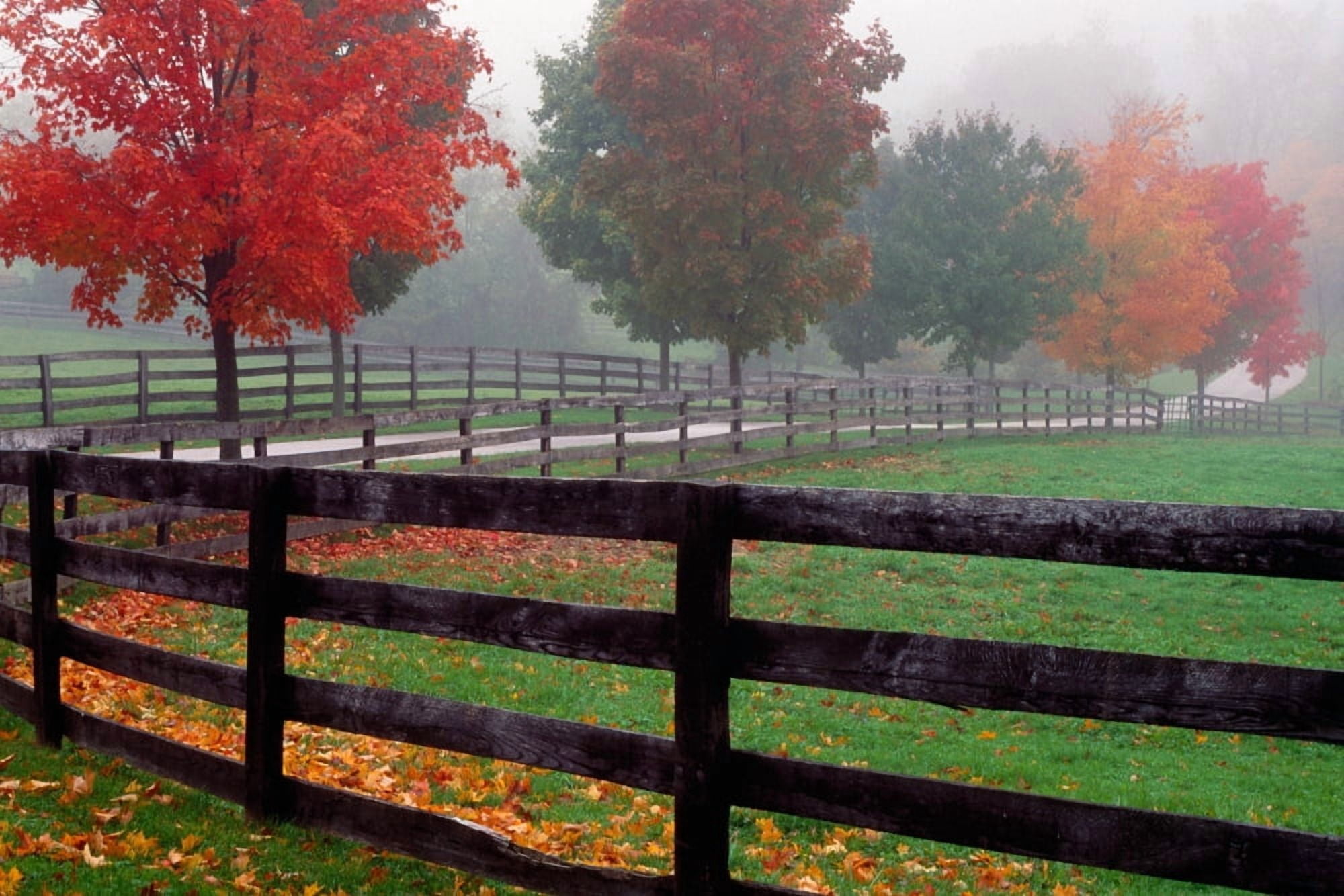 Fenceline and wet road autumn color trees in mist Maryland USA Canvas Art - Panoramic Images (27 x 9)