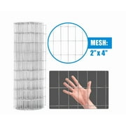 Fencer Wire Welded Wire Fence 12.5 Gauge, Galvanized Welded Fence Wire Roll, Mesh Size 2-Inch x 4-Inch, Hog Wire Fencing Cage, Multiple Use for Home Improvement & Animals Enclosure (2ft. x 50ft.)