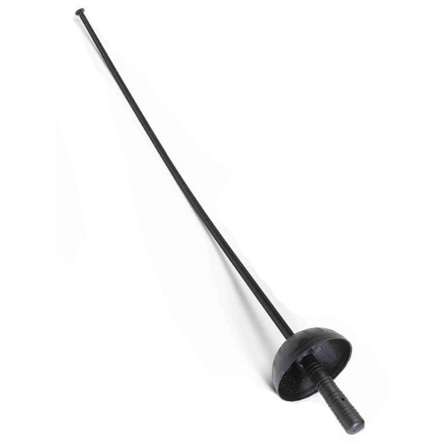 Fencing Sword
