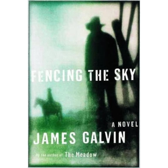 Pre-Owned Fencing the Sky: A Novel (Hardcover) 0805062203 9780805062205
