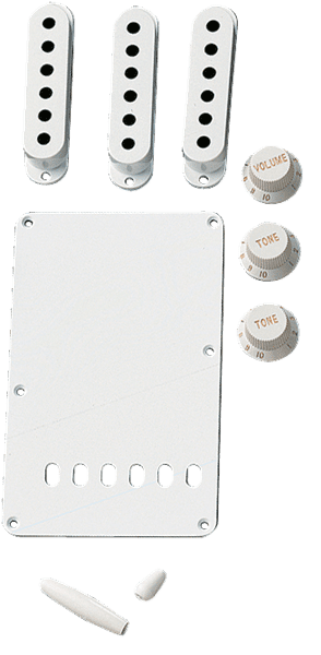 Fender Fender Vintage-Style Stratocaster Accessory Kit