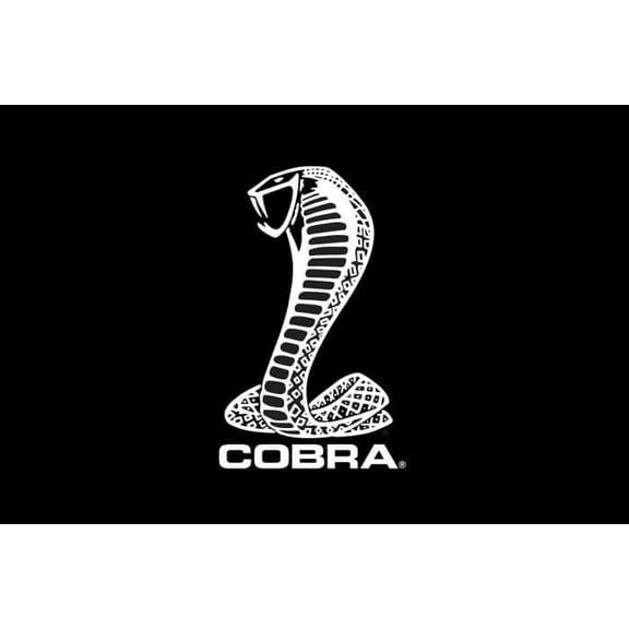 Fender Gripper FG2122 Fender Cover Cobra Snake Logo