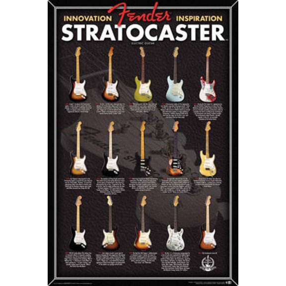 Fender - Stratocaster Evolution Poster (24 x 36)
