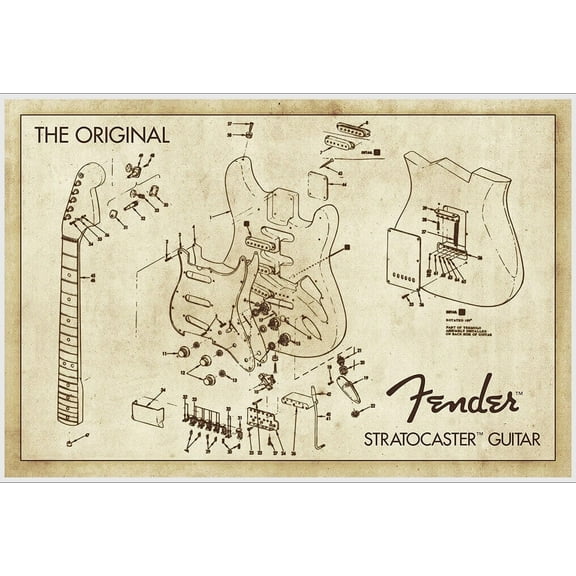 Fender Stratocaster Guitar Diagram Poster 36.5" x 24.5" Laminated