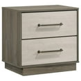 thumbnail image 1 of Fene Nightstand, 2 Storage Drawers with Nickel Handles, 24 Inch Gray, 1 of 7