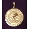 thumbnail image 1 of Feng Shui Big Money Talisman Pendant, 1 of 2