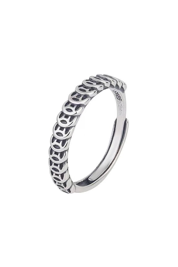 Feng Shui Coin Rings 925 Sterling Silver Lucky Wealth Money Ring Band for Men Women Retro Punk Rock Couple Ring
