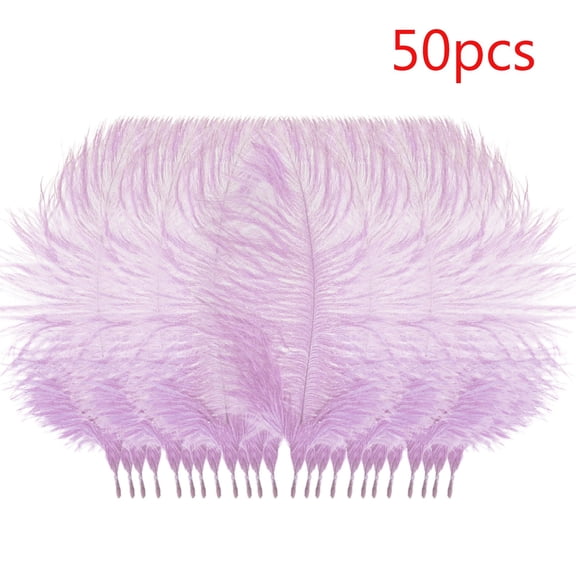 Feng Shui Import Colorful Ostrich Feather for Wedding Background Decoration,Natural Dyed Plume for DIY Flower Arrangement,Long Soft Feather for Party Centerpiece and Home Decor