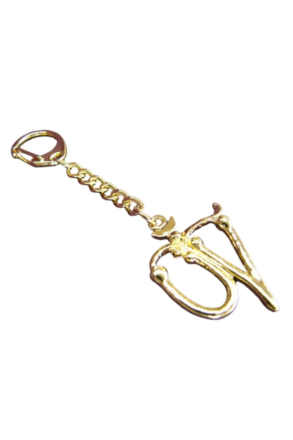 Feng Shui Protection Sign Talisman Amulet Keychain