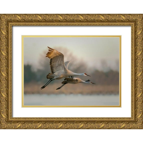 Feng, Young 18x14 Gold Ornate Wood Framed with Double Matting Museum Art Print Titled - Together