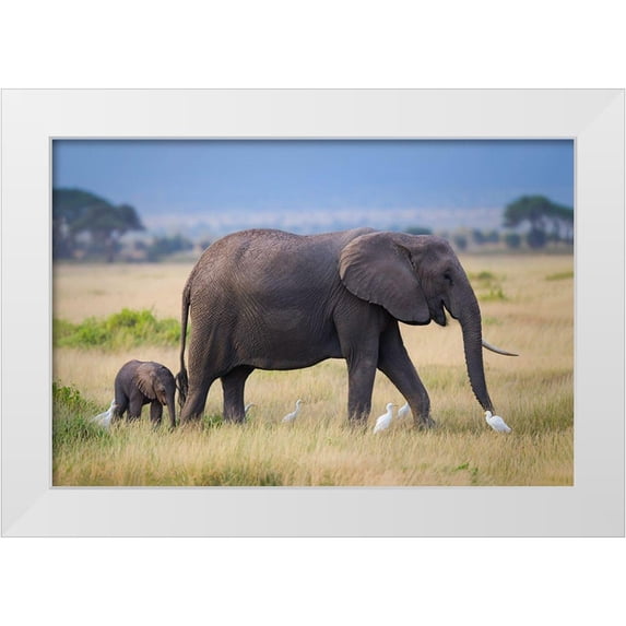 Feng, Young 32x23 White Modern Wood Framed Museum Art Print Titled - Life