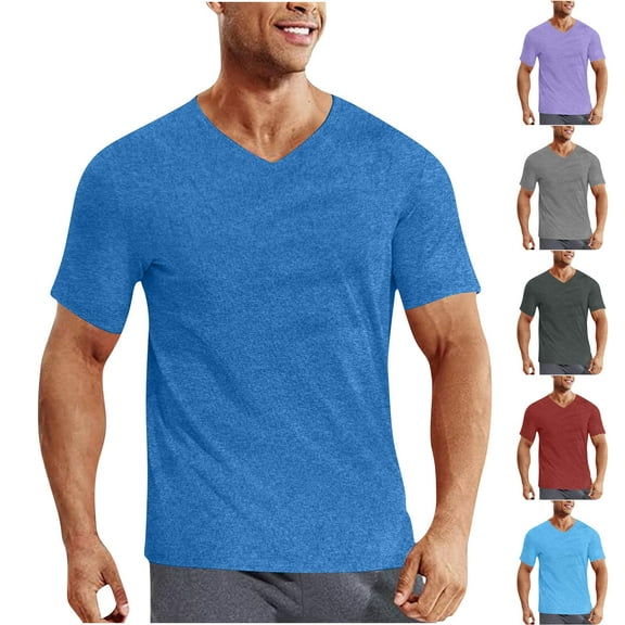Fengqque Mens V Neck T-Shirts Workout Soft Short Sleeve Moisture Wicking Running Athletic Gym Casual Tee Tops Wine XL(XL)
