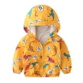 thumbnail image 1 of Fengyings Clearance Toddler Girl Boy Spring Fall Windbreaker with Hoods Baby Zipper Hooded Outwear WindproofJacket Lightweight Coat, 1 of 3