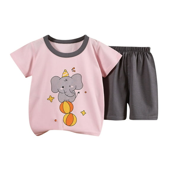 Fengyings Toddler Girl's 2 Piece Printed Round Neck Short Sleeve Tee Top and Track Shorts Sets Casual T Shirt Tracksuit