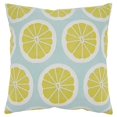 thumbnail image 1 of Fennco Styles Embroidered Lemon Cotton Decorative Throw Pillow 18 x 18 Inch, 1 of 3