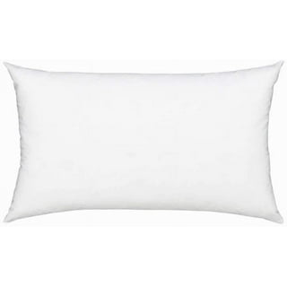  TSUTOMI 18 x 18 Pillow Insert Set of 2 for Pillow Stuffing,  Decorative Pillows for Bed, 18x18 Pillow Fillers and Down Lumbar Pillow  Insert, Square Small Pillow Couch Pillow Throw Pillow
