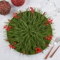 thumbnail image 1 of Fennco Styles Red Berry Decorative Placemat 14" Round, 1-Piece - Green Holiday Design Table Mat for Home, Christmas Décor, Dining Table, Banquets, Special Events, 1 of 3