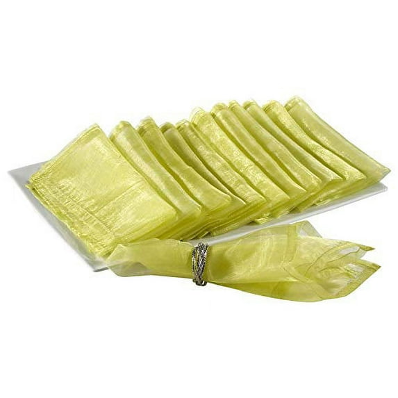 Fennco Styles Sorbet Collection Elegant Sheerness Organza 20 x 20 Inch Cloth Napkins, Set of 12 - Light Green Diner Napkins for Wedding, Banquets, Special Events and Party Décor