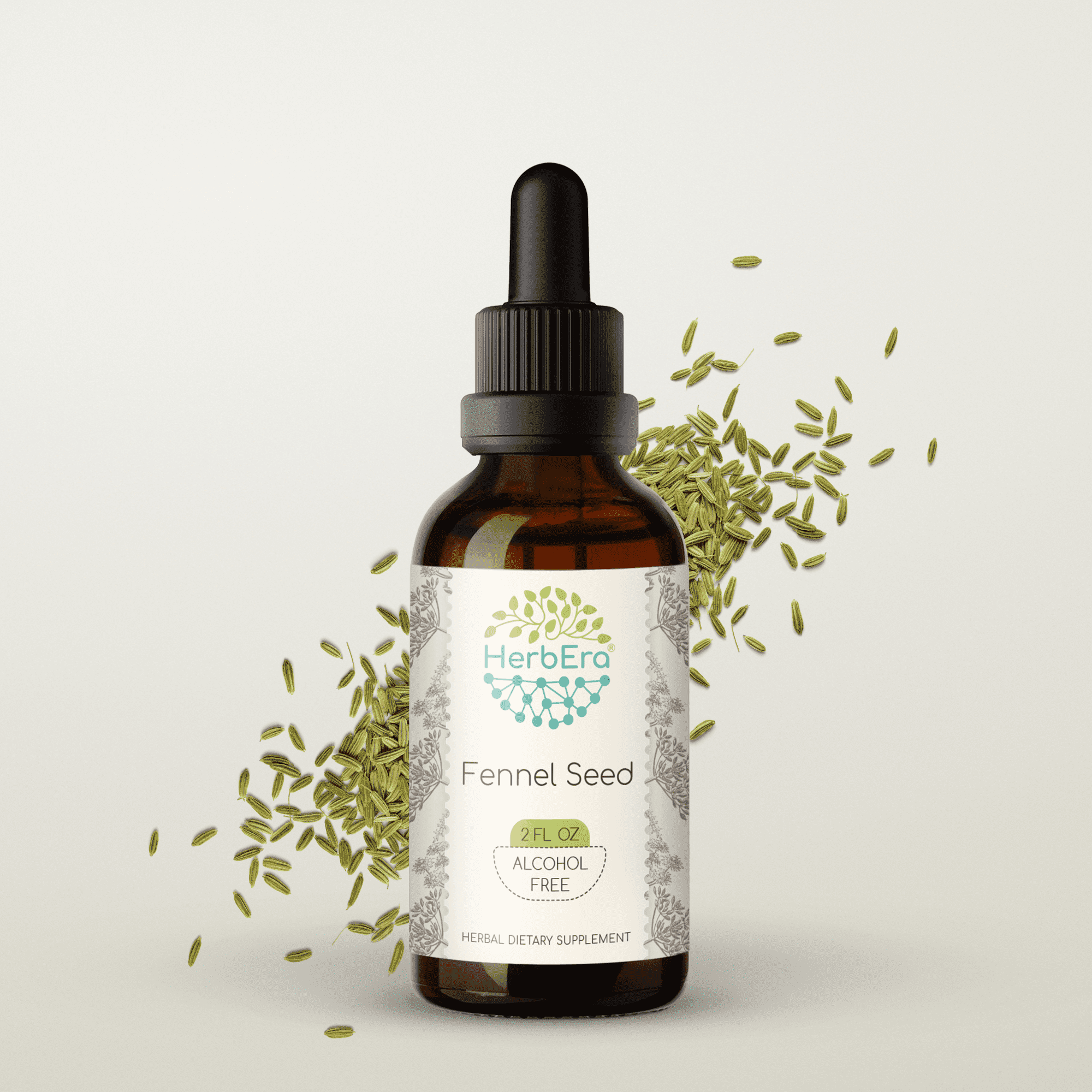 HerbEra Fennel Seed Tincture, Herbal Dietary Supplement for Digestive Support, Fennel (Foeniculum vulgare) Dried Seed Extract, Natural, Alcohol-Free, Drops 2 oz