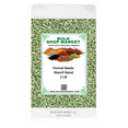 thumbnail image 1 of Fennel Seed Spice By BulkShopMarket (1 LB), 1 of 1