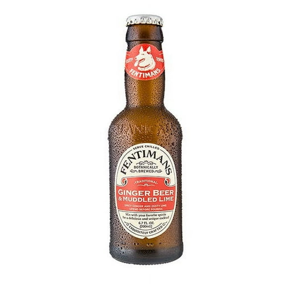 Fentimans Ginger Beer & Muddled Lime Non Alcoholic 200ml (Pack of 6)
