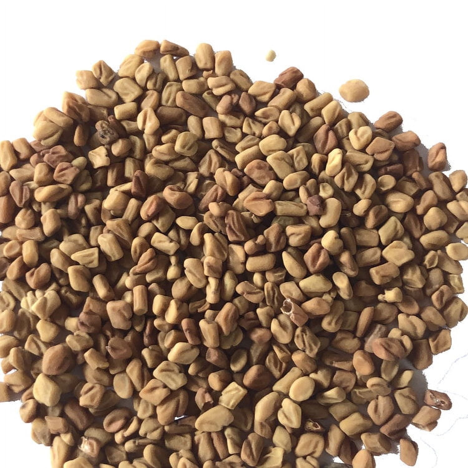 Fenugreek Seeds, Dried Herb, 1 oz (28 g)