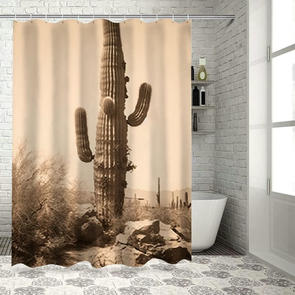 Fenyluxe Cactus Rock Desert Pretty Shower Curtain Bathroom Decor 100% Polyester Washable Set with Hooks 36x72