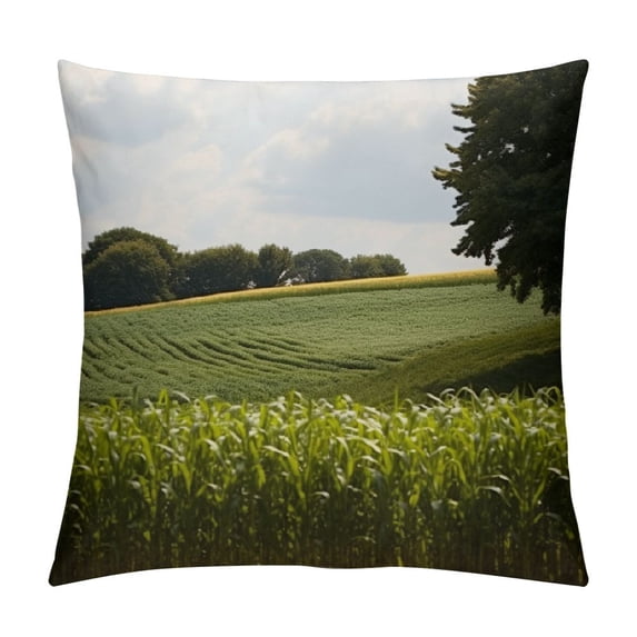 Fenyluxe Corn Field Fashion Style Dirt-Resistant Throw Pillow Covers for Couch Sofa Bed Living Room Bedroom Zipper Closure Autumn Season Home Decor 1PC 22x22in