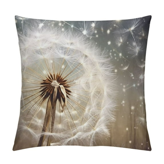 Fenyluxe Pillow Covers for Couch Sofa Indoor Outdoor Square Design 1PC Short Plush Printing Process Multipurpose Use 20x20in