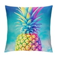 thumbnail image 1 of Fenyluxe Pineapple Rainbow Modern Farmhouse Rustic Decorative Couch Pillow Cases with Zipper Home Decor Throw Pillow Cover 1PC 18x18in, 1 of 5