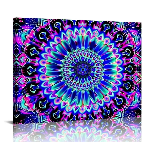 Fenyluxe Psychedelic Art Canvas Wall Art Ready to Hang for Home Decor 16x12in