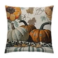 thumbnail image 1 of Fenyluxe Pumpkins Outdoor Decorative Pillow Covers for Couch Bed Sofa Thanksgiving Aesthetic Autumn Pillow Case 1PC 20x20in, 1 of 5