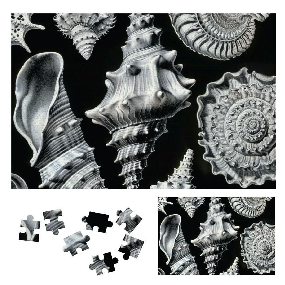 Fenyluxe Shells Puzzle Impossible Jigsaw Puzzles for Adults Puzzle