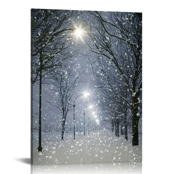 Fenyluxe Snow Lights Canvas Wall Art Decor Home Decoration for Living Room Bedroom Office, Modern Prints 12x16in