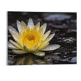 thumbnail image 1 of Fenyluxe Spa Zen Wall Art White Lotus Flower in the Storm Canvas Picture,Black and White Meditation Decor Artwork,Zen Spiritual Wall Decor Artwork，Yoga Studio- 20x16 Inches, 1 of 3