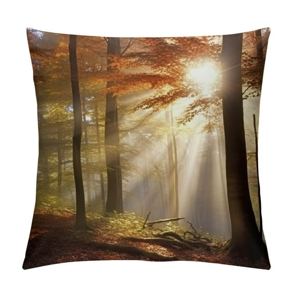 Fenyluxe Sunbeam Fashion Style Dirt-Resistant Throw Pillow Covers for Couch Sofa Bed Living Room Bedroom Square Pillowcase 1PC 12x12in