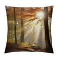 thumbnail image 1 of Fenyluxe Sunbeam Fashion Style Dirt-Resistant Throw Pillow Covers for Couch Sofa Bed Living Room Bedroom Square Pillowcase 1PC 20x20in, 1 of 5