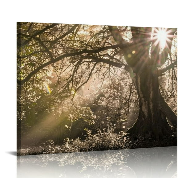 Fenyluxe Sunshine Trees Canvas Wall Decor for Bedroom Kitchen Ready to Hang - Home Art Decor 16x12in