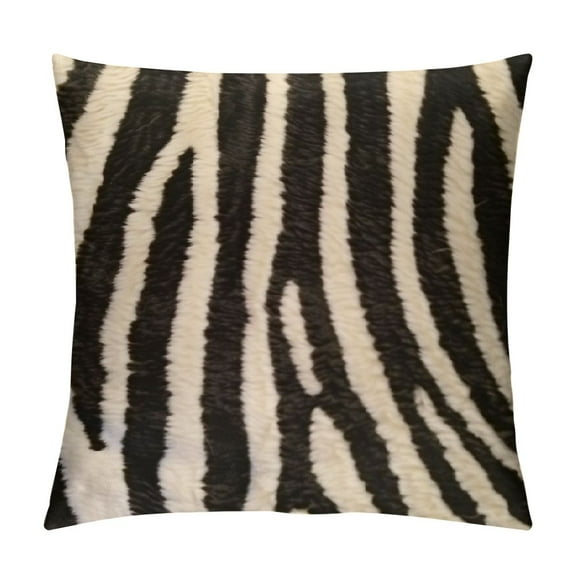Fenyluxe Zebra Decor Animal Print Zebra Pillow Covers  Throw Pillows  Modern Farmhouse Home Decor for Bedroom Couch Sofa (No Pillow Insert) White