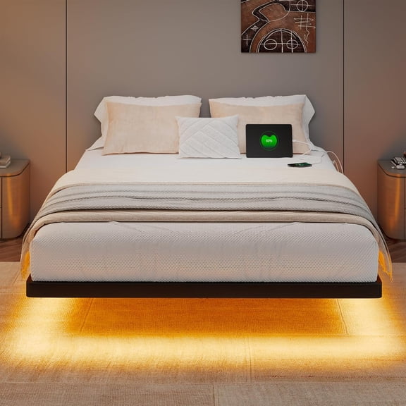 Honfach Queen Size Floating Bed Frame with Led Lights and Charging Station, Metal Bed Frame with Heavy Duty Steel Slats Supports, Black