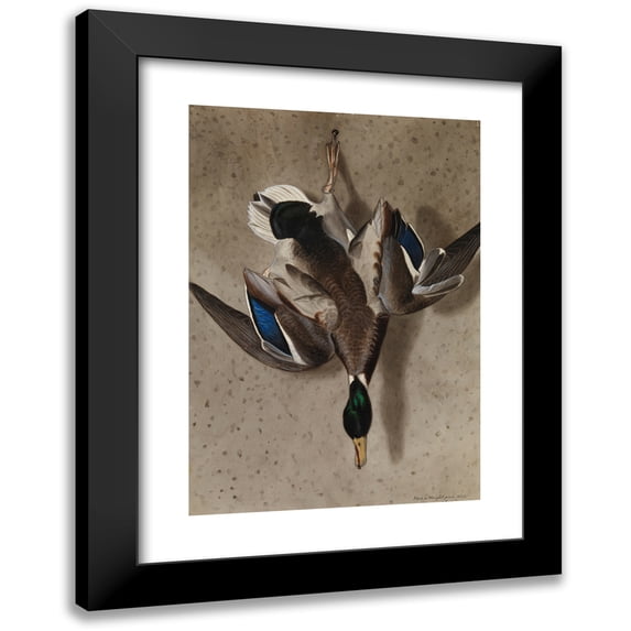 Ferdinand von Wright 11x14 Black Modern Framed Museum Art Print Titled - Hanging Mallard (1834)
